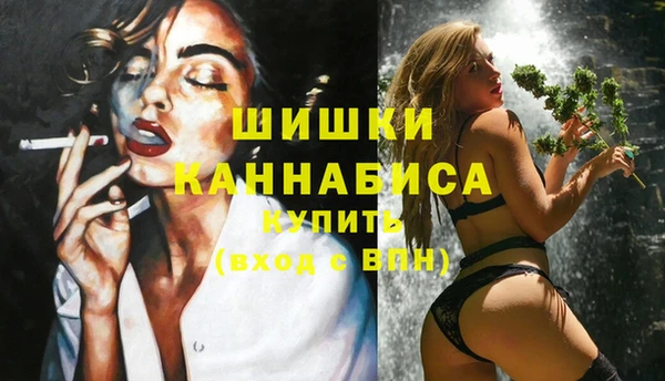 сатива Дмитров