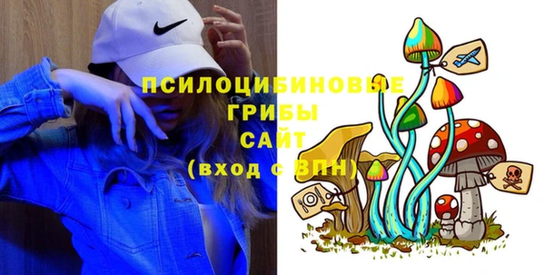 МДПВ Дмитровск
