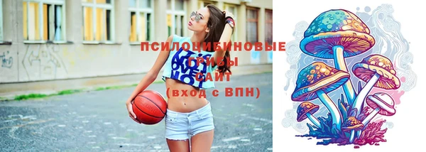МДПВ Дмитровск