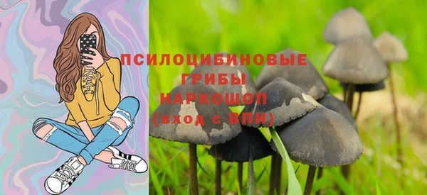ALPHA PVP Дмитриев